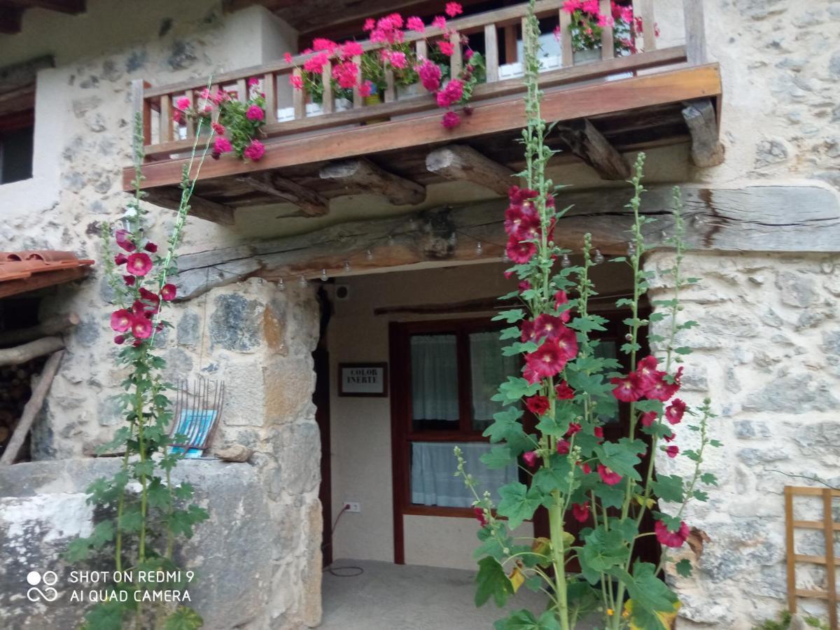 Belaustegi Turismo Rural Ispaster ภายนอก รูปภาพ